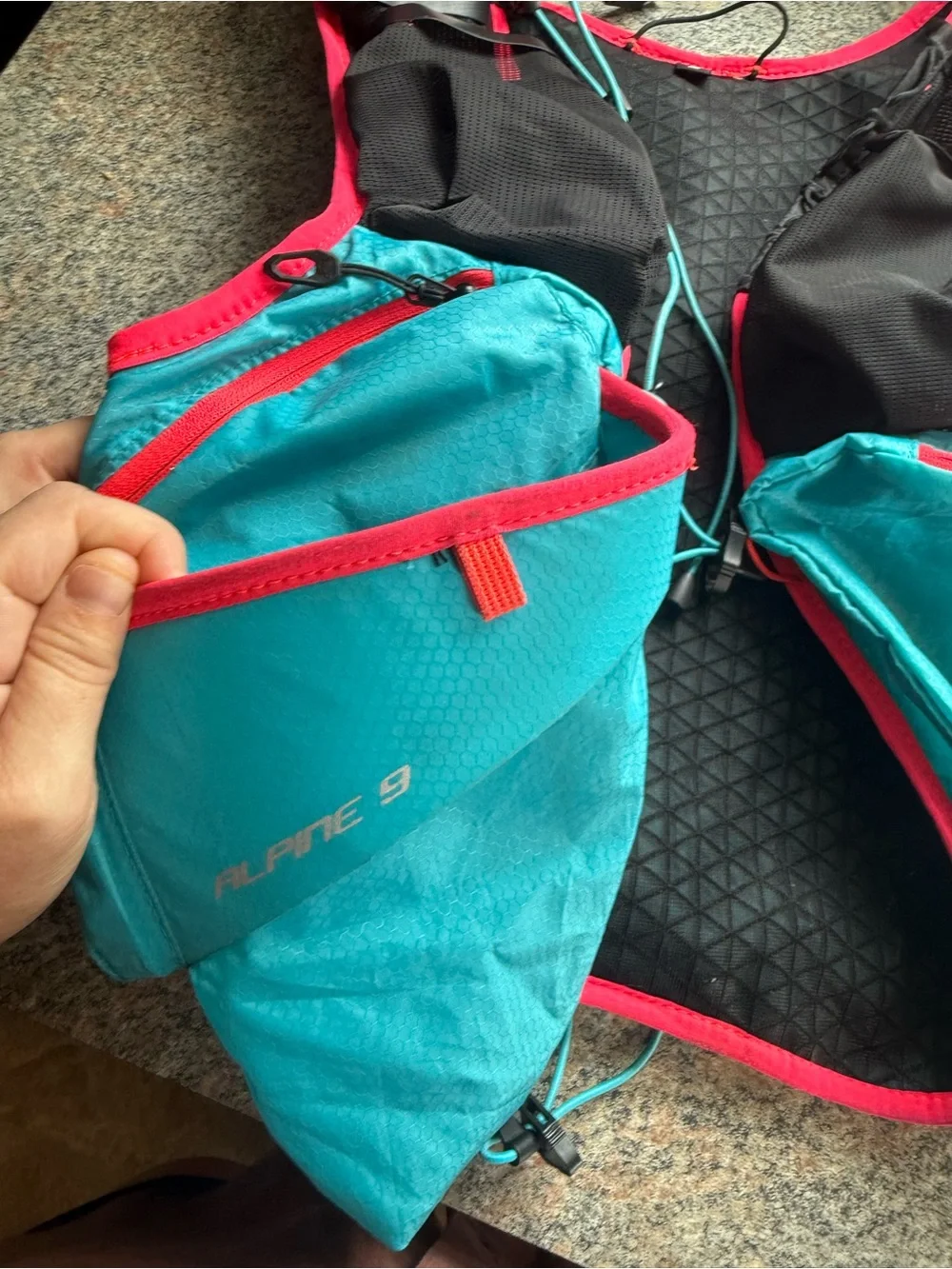 Dynafit Alpine 9 Hydration Running Vest